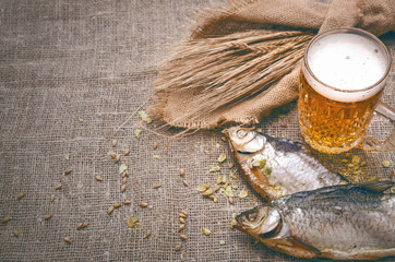 Glass of light beer and stockfish and rye ears on burlap cloth background with copy space.