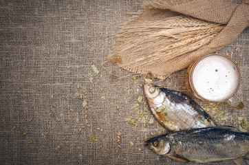 Glass of light beer and stockfish and rye ears on burlap cloth background with copy space.