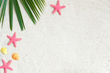 Beach background.  Beach sand with starfishs, shells and coconut leaves.  Summer background concept.