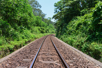 Fototapeta premium Railway track to south of Vietnam