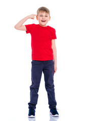 Fototapeta premium Handsome little boy in full growth