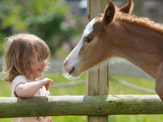 Girl and Foal
