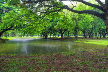 Park in Thailand
