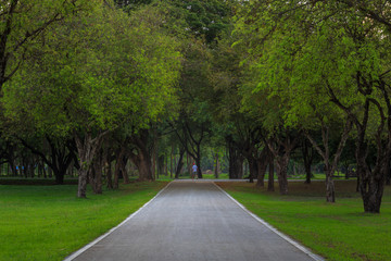 Park in Thailand