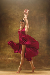 Young ballet dancer - Harmonious pretty woman with tutu posing in studio -