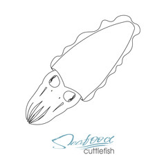 Squid seafood isolated sketch. Sea animal, european squid with pink tentacles and mantle. Seafood, fish market label, food packaging or underwater sea animal themes design. Linear silhouette sea fish.