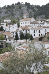 Obraz premium Grazalema Village, Andalusia