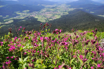 Osser Berg im Bayerischen Wald