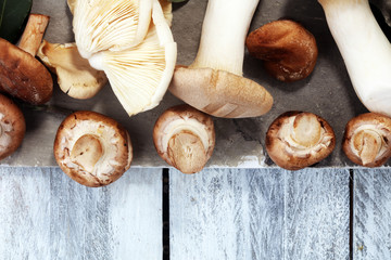 variety of raw mushrooms on grey table. oyster and other fresh mushrooms