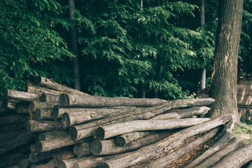 Fototapeta na wymiar Wood logs outdoor