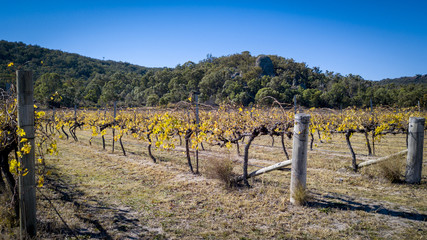 Aerial drone view over wineries and granite rock in Stanthorpe, Australia