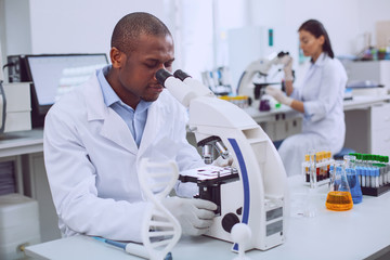 Working atmosphere. Concentrated professional biologist working with his microscope and his co-worker working in the background