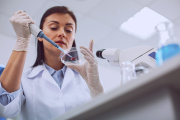 Important blood test. Serious smart scientist conducting a blood test and wearing a uniform