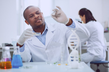 Improving environment. Smart experienced biologist taking a test with seeds while working in the lab