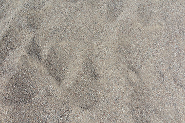 Coarse sand background texture. Close up of coarse sand grains.