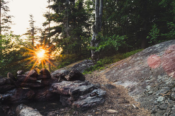 Sonnenstrahlen der Abendsonne scheint durch die Bäume auf einem Berg im Bayerischen Wald