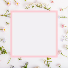 Festive Pink flowers frame, composition on white background. Overhead top view, flat lay, square. Copy space. Birthday, Mother's, Valentines, Women's, Wedding Day concept