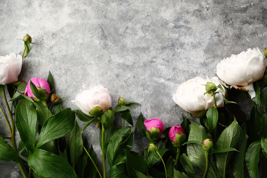 Fototapeta Peonies on gray background