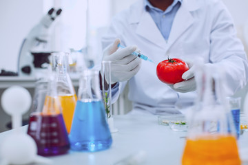 Fototapeta premium Injection. Smart professional biologist wearing a uniform and testing tomatoes