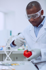 My project. Delighted experienced biologist wearing a uniform and testing tomatoes