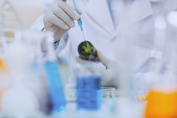 Good taste. Determined skilled biologist wearing a uniform and testing a marrow squash
