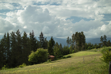 Green spring landscape