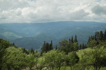 Green spring landscape