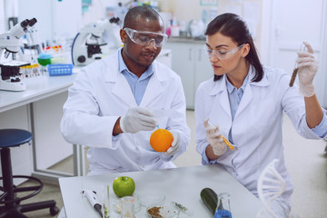 Testing fruit. Concentrated skilled scientists working in the lab and modifying fruit