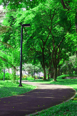 In the park