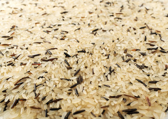 Raw Black Wild Rice Background