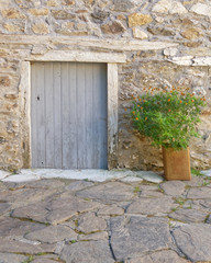 Fototapeta na wymiar vintage door on stone wall and a flower pot