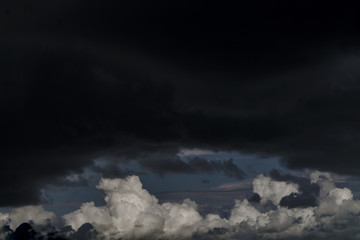 Green leaves, beautiful spring texture, summer beauty, background for shouting, beautiful green background, rest near the river, rest on the beach, where to relax in the summer, summer vacation, fishi