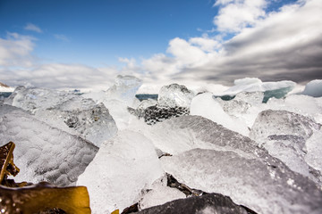Wiosna na południowym Spitsbergenie © blackspeed