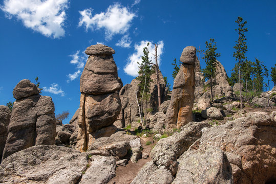 Black Hills National Forest, South Dakota, USA: Typical rock formations (needles)