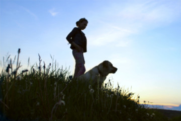 Silhouettes Of A Teenage Girl  Walking With Her Pet On Sunset Background. Silhouettes Of A Girl And Dog, Outdoors. Blurred Shot Of A dog And Owner.