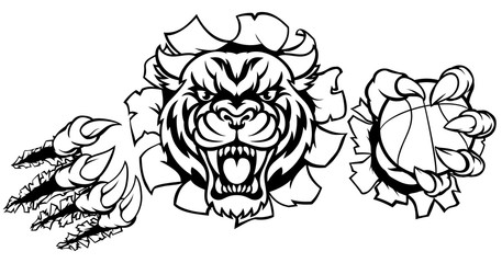 Tiger Holding Basketball Ball Breaking Background