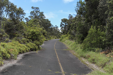 Fototapeta na wymiar Jungle crater rim road, Kilauea, Big Island, Hawaii