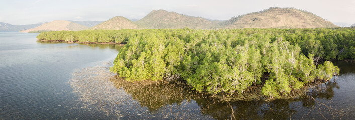 Aerial View of Mangrove Forest on Lembata Island, Indonesia