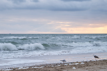 Beautiful sky background.