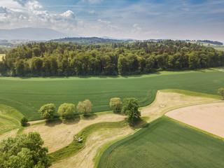 Aerial view of forest in rural landscape in Switzerland on a warm summer day