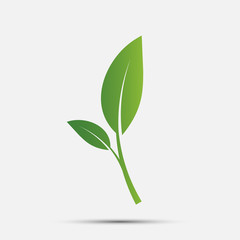 Green leaf logo,ecology nature.Vector illustration.