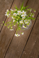 white flowers and buds on wood background
