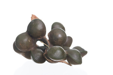 Archidendron Jiringa seeds .