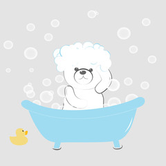 Teddy bear in soap bubbles. Take a bath vector