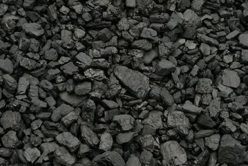 Coal