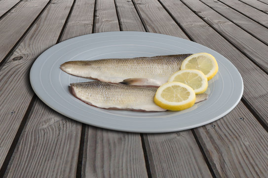 Felchen Bodenseefelchen Blaufelchen Coregonus wartmanni Speisefisch