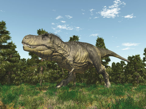 Dinosaurier Tyrannosaurus Rex