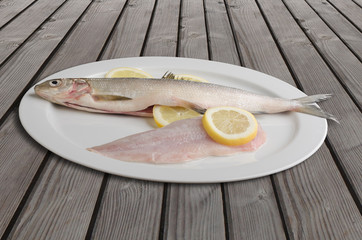 Felchen Bodenseefelchen Coregonus wartmanni Blaufelchen Speisefisch Süsswasserfisch