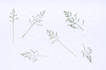 Allergy, Allergens, Seasonal allergies. Minimal Grass Allergy flat lay concept. Allergy madication pills isolated on white background.