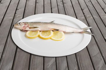 Felchen Bodenseefelchen Coregonus wartmanni Blaufelchen Speisefisch Süsswasserfisch